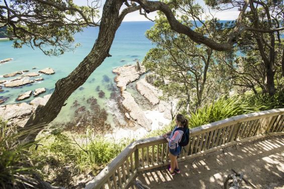 Nga Tapuwae o Toi Walkway